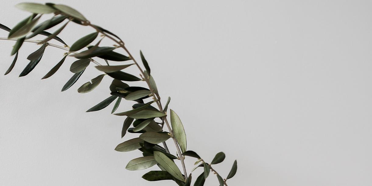 Жёлтый диван в интерьере разных стилей