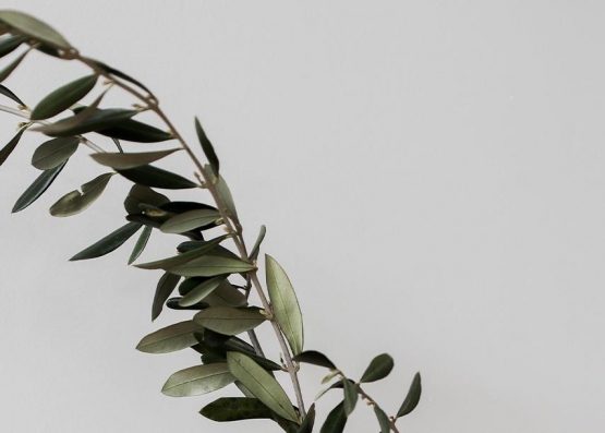 Жёлтый диван в интерьере разных стилей